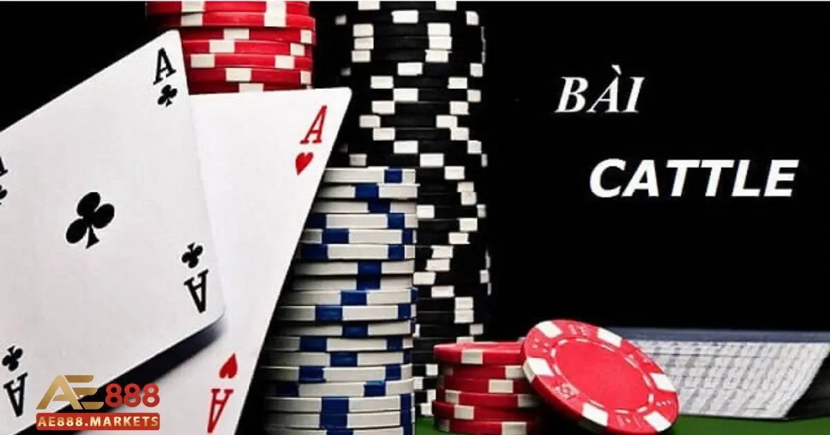 Bài Catte AE888 – Tựa Game Đỉnh Cao Với Giao Diện Hiện Đại 3 Tầm Quan Trọng Của Chiến Thuật Trong Bài Catte AE888