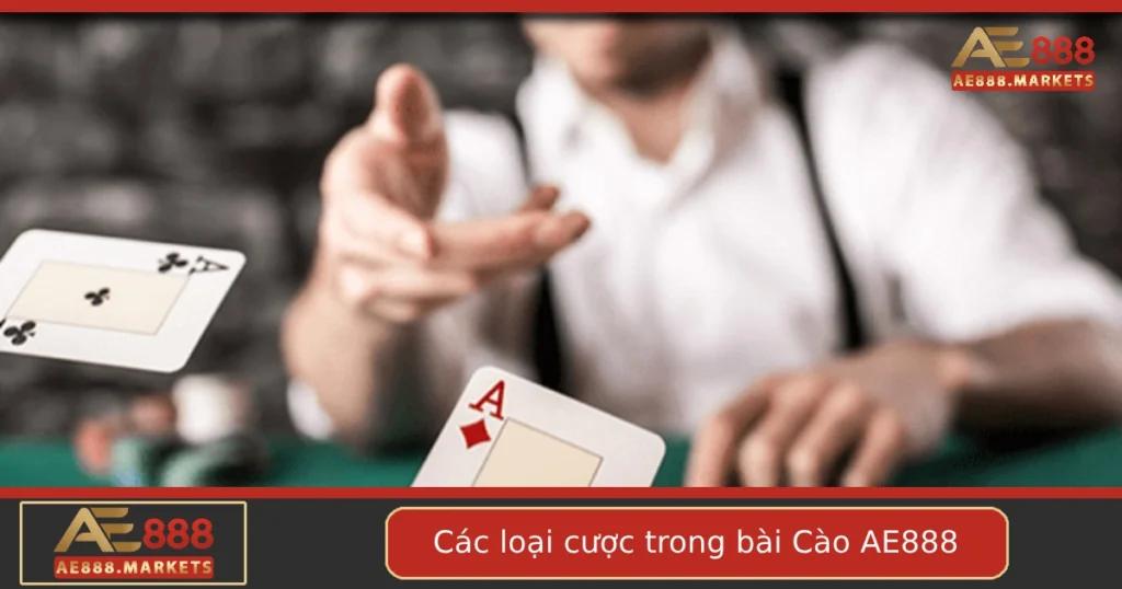 Các Loại Cược Trong Bài Cào Tại AE888 – Bạn Đã Biết Hết Chưa? 3 Các Loại Cược Trong Bài Cào Tại AE888 – Bạn Đã Biết Hết Chưa?